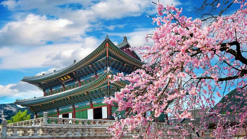 SOUTH KOREA travel destination